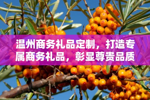 温州商务礼品定制，打造专属商务礼品，彰显尊贵品质